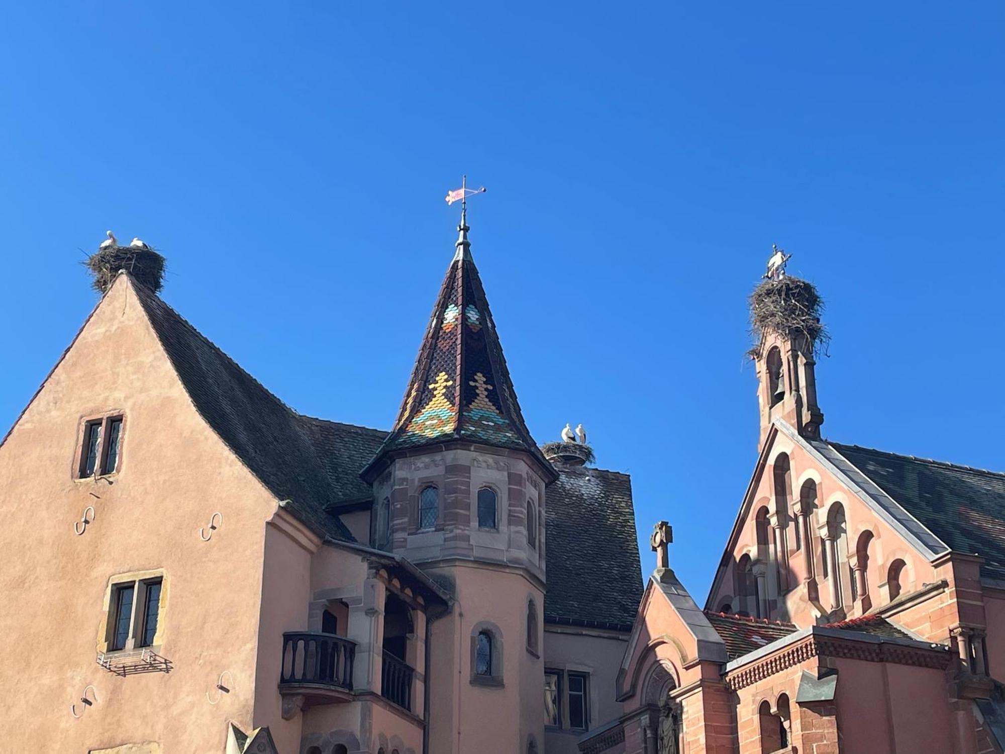 Appartement Le Ch'Ti Alsacien Eguisheim Exterior foto